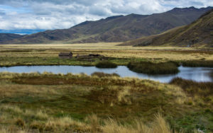 Peru high plains landscape with scrub, lake, grasses, and mountains.